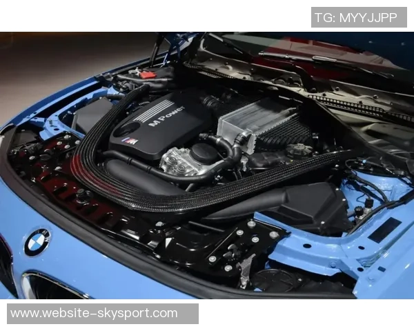 周芳专访：畅谈滑板生涯与未来梦想的追寻之路